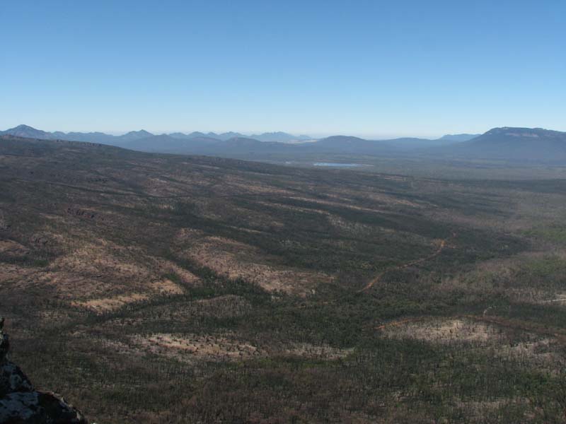 Burnt Grampians Forest